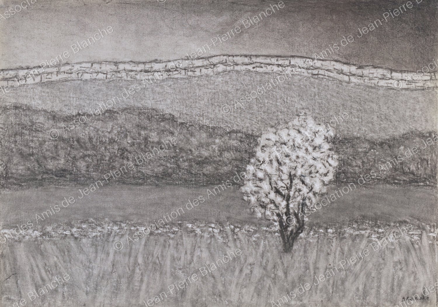 Plateau de CENGLE à l’Amandier.