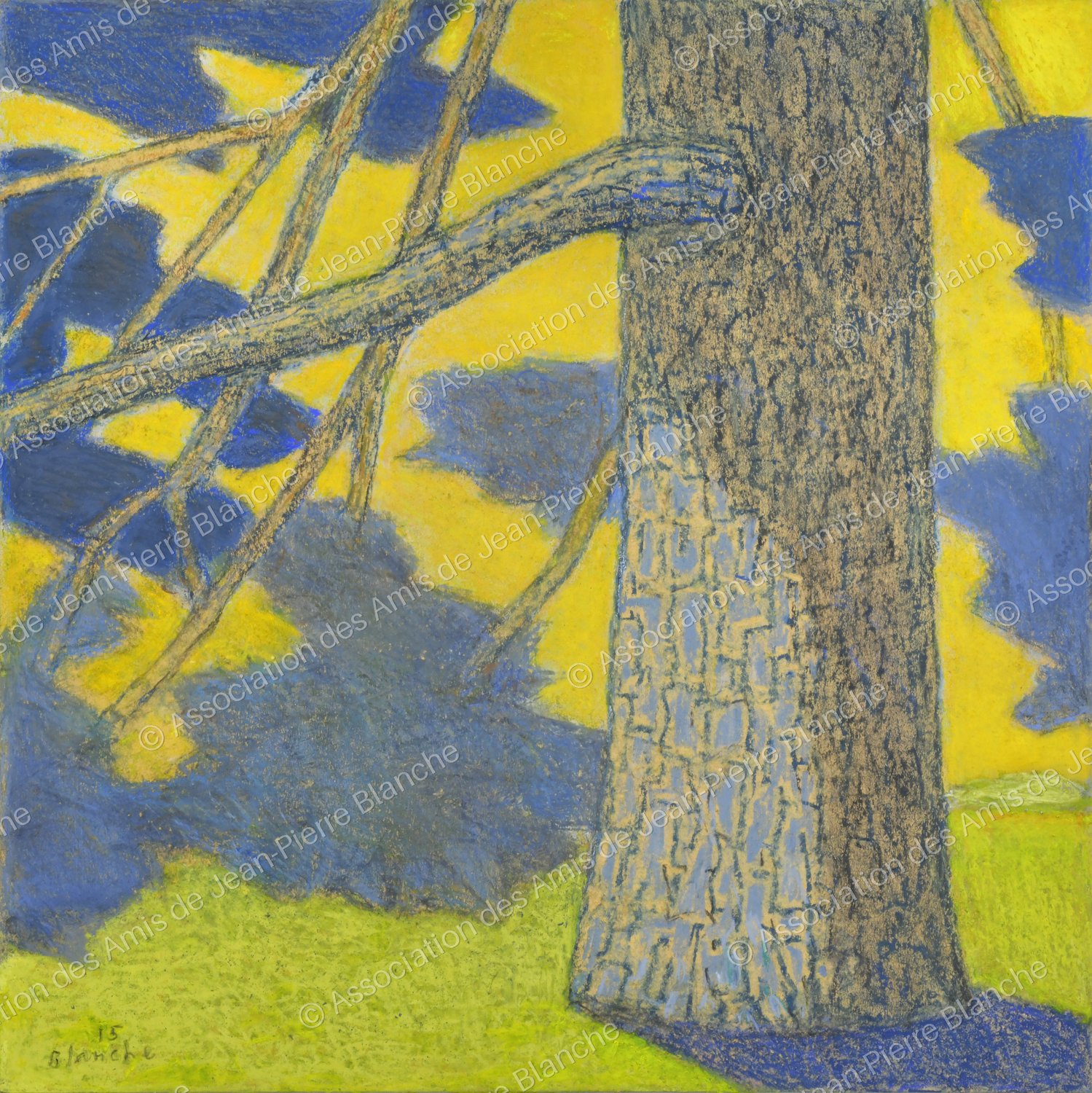 Dans la lumière