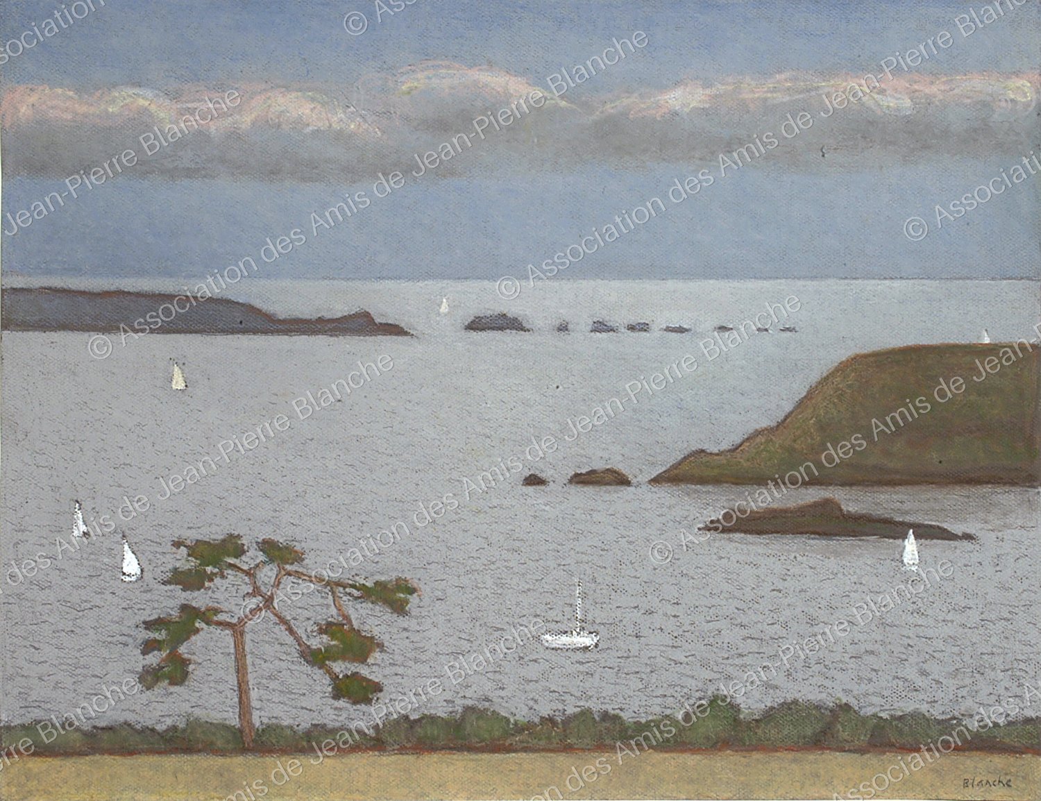 marine, voiliers et baie avec pin