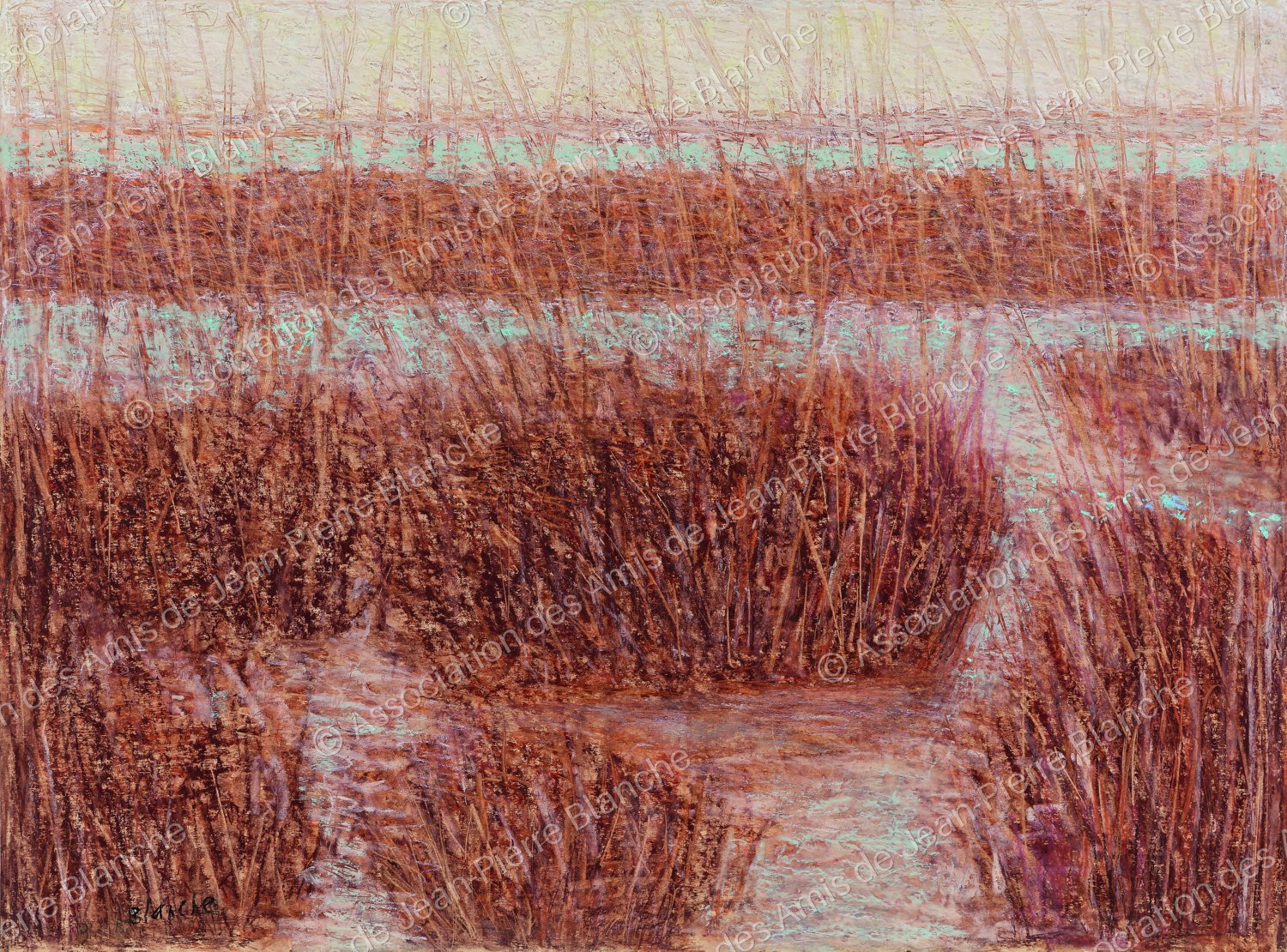 Marais camarguais