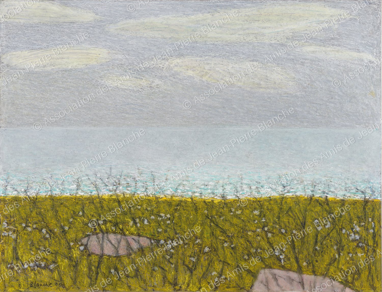 Étang de Camargue