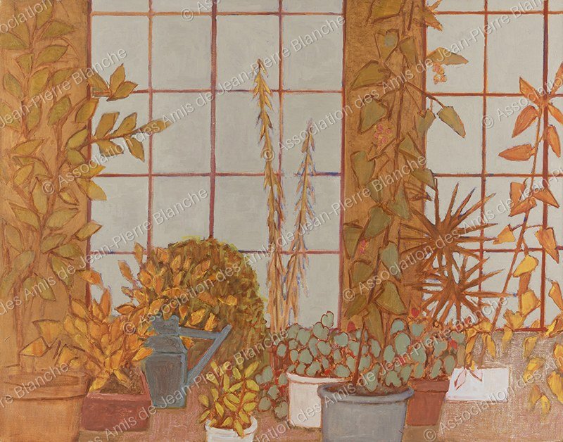 Plantes dans la véranda ocre