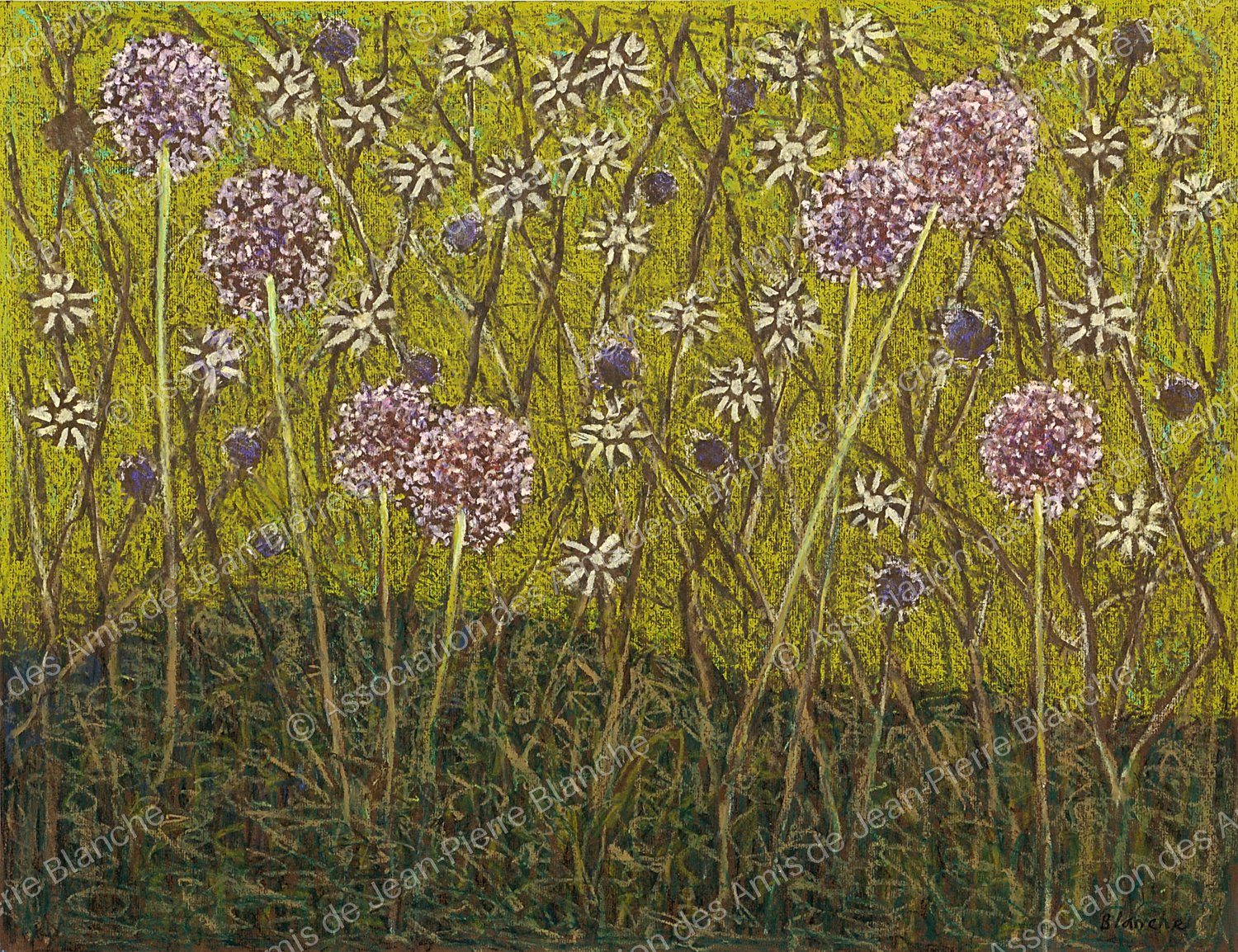 Chardons et herbes