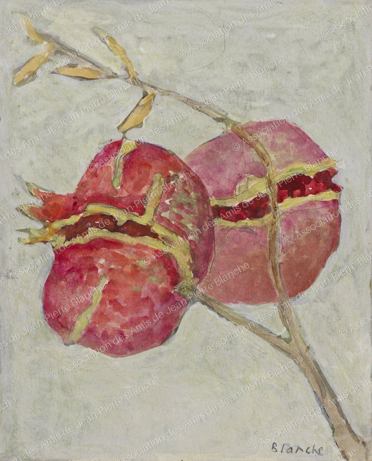 Grenades roses