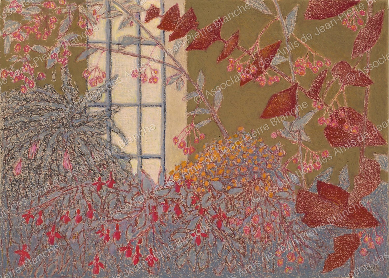 orangerie plantes rouge